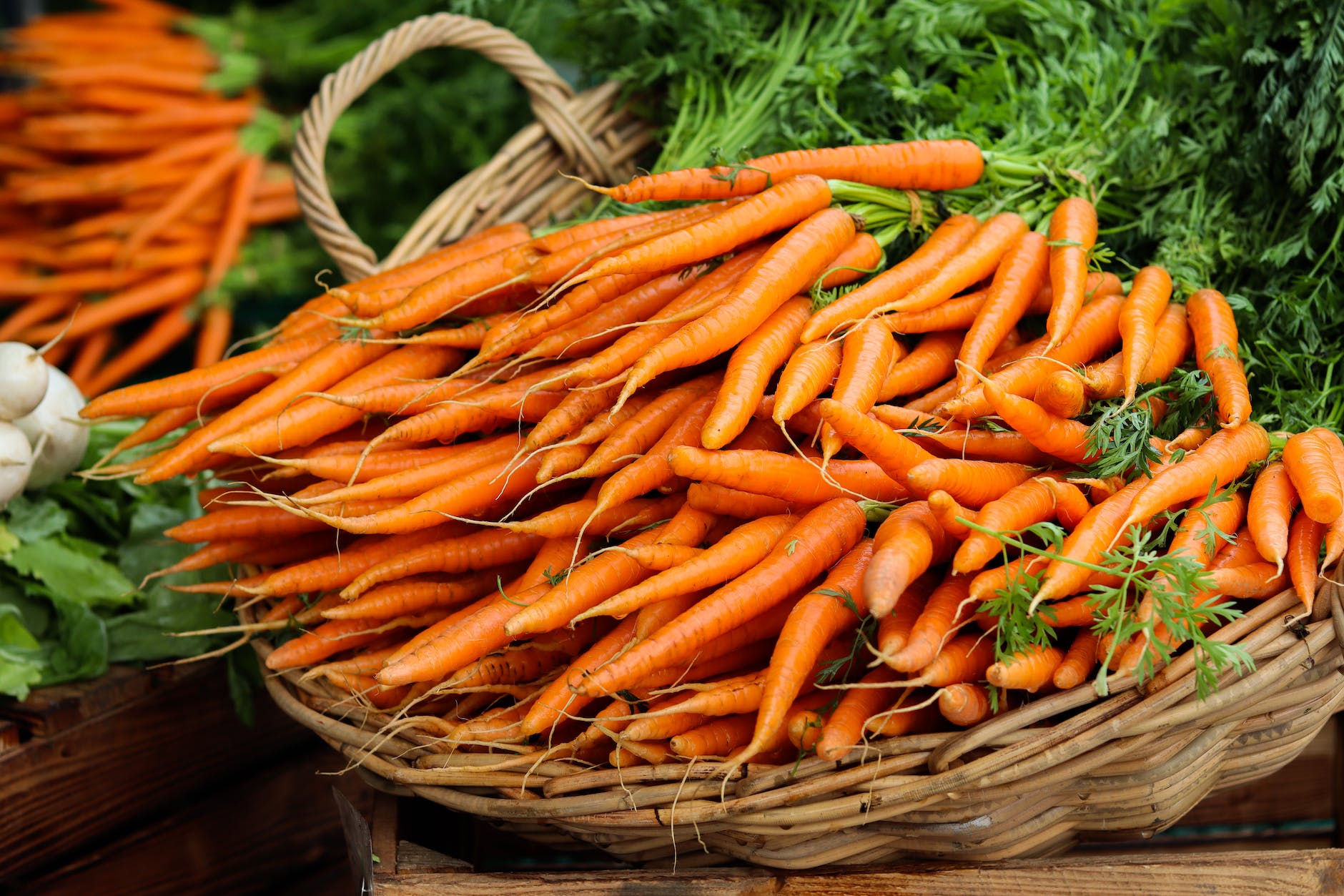Why I’m a Fermenting Fool