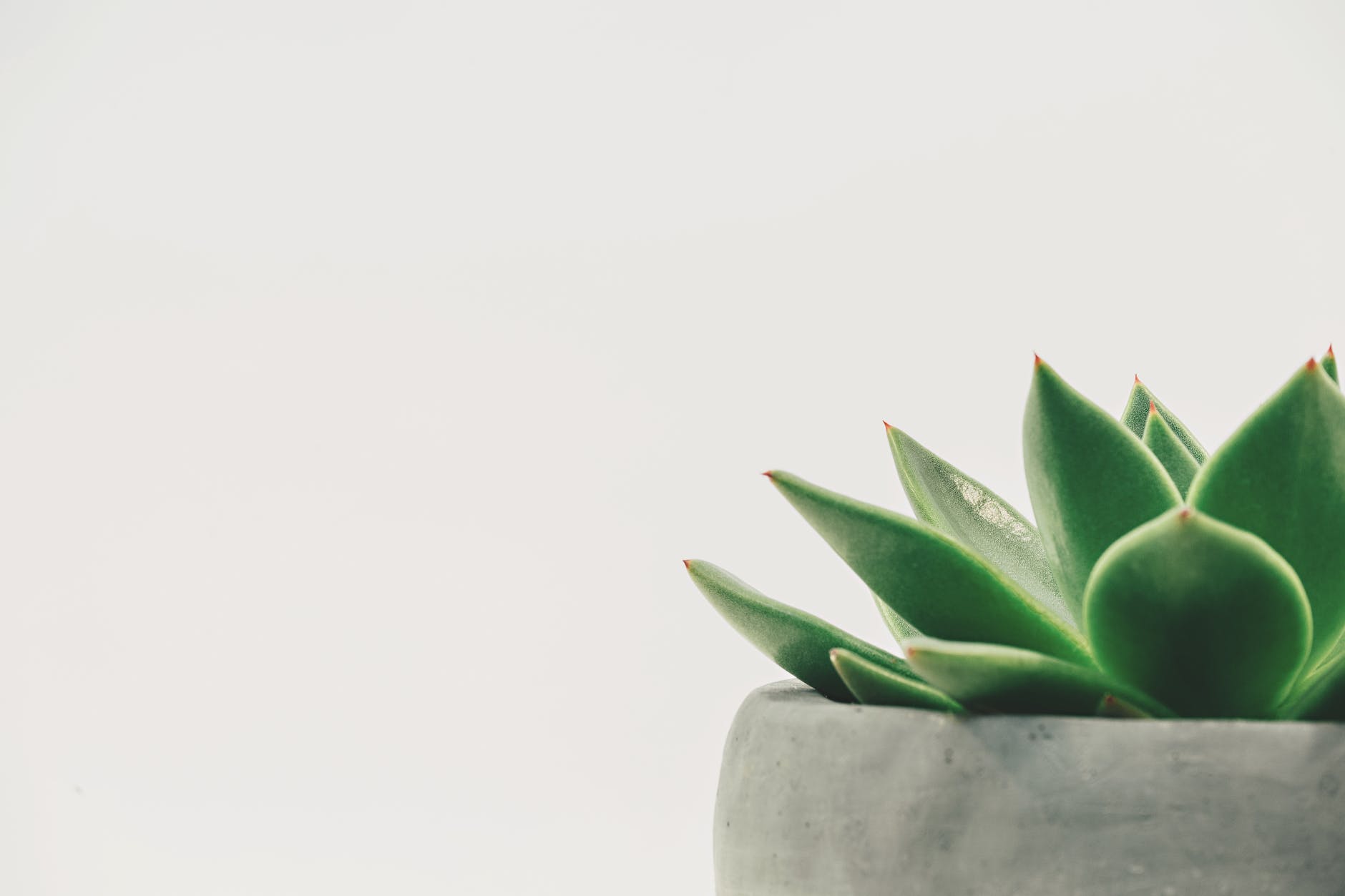 Can Decluttering Heal You?